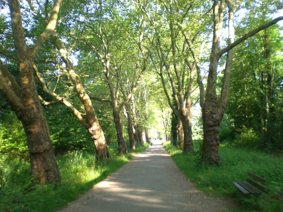 Fahrrad Touring Bodenseerundfahrt (Tour 61075)